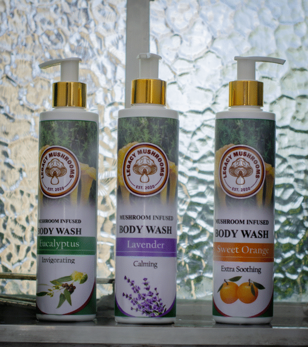 Body Wash (Trio Pack)